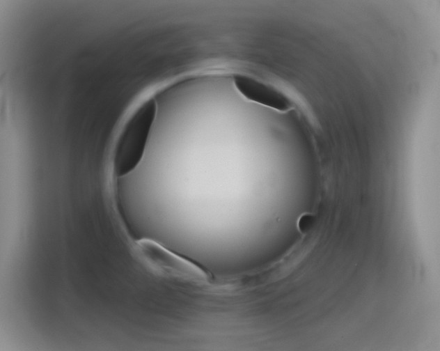 X0000114401472200910231059