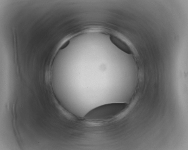 X0000114401473200910231059