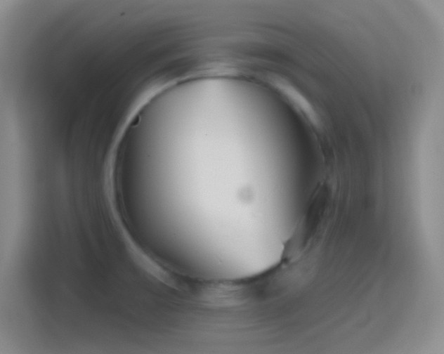 X0000114401475200910231059