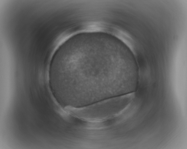 X0000114401477200910231059