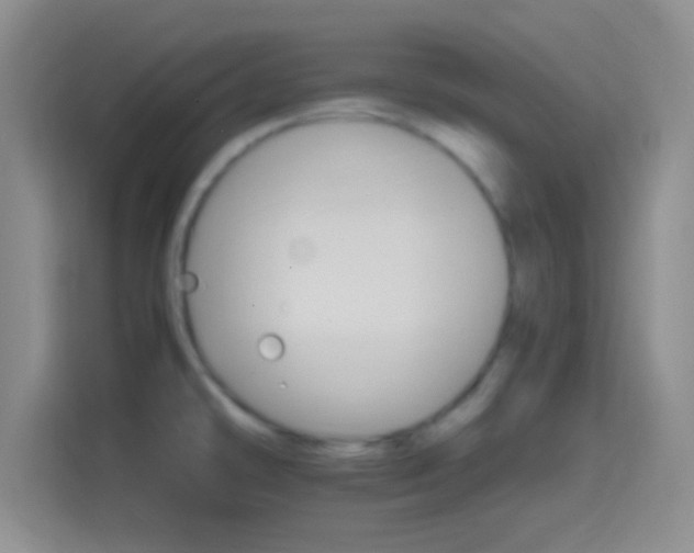 X0000114401478200910231059