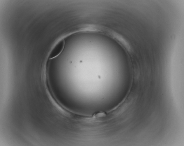 X0000114401479200910231059