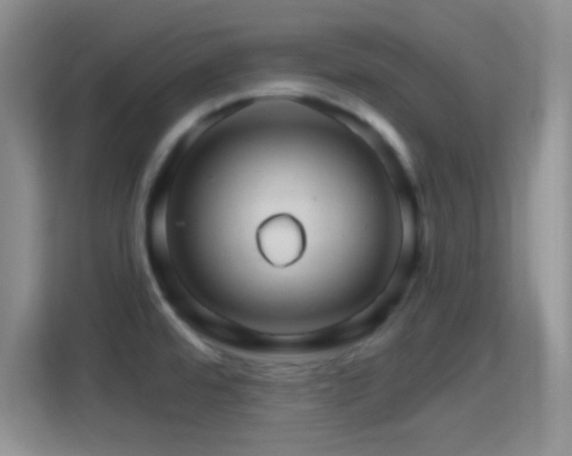 X0000114401480200910231059