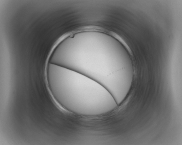 X0000114401482200910231059