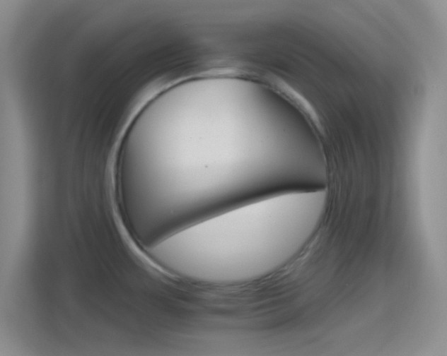 X0000114401483200910231059