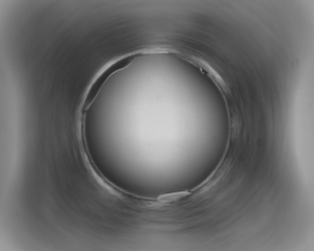 X0000114401484200910231059