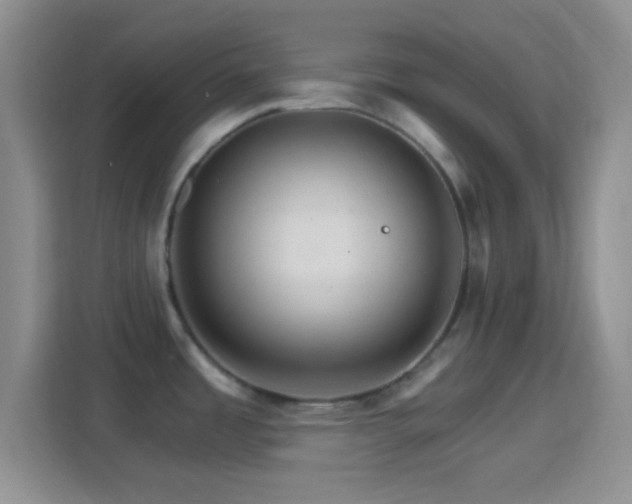 X0000114401485200910231059