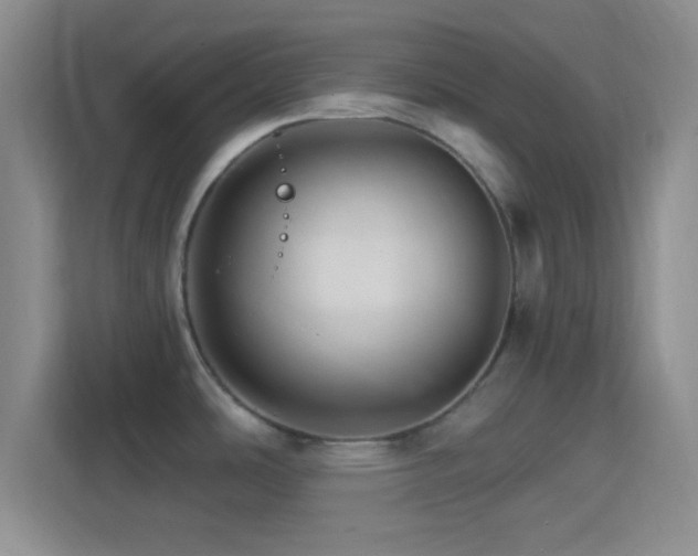 X0000114401486200910231059