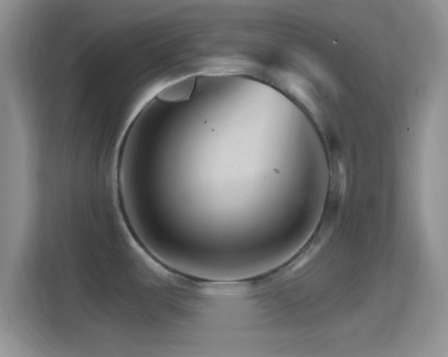 X0000114401487200910231059