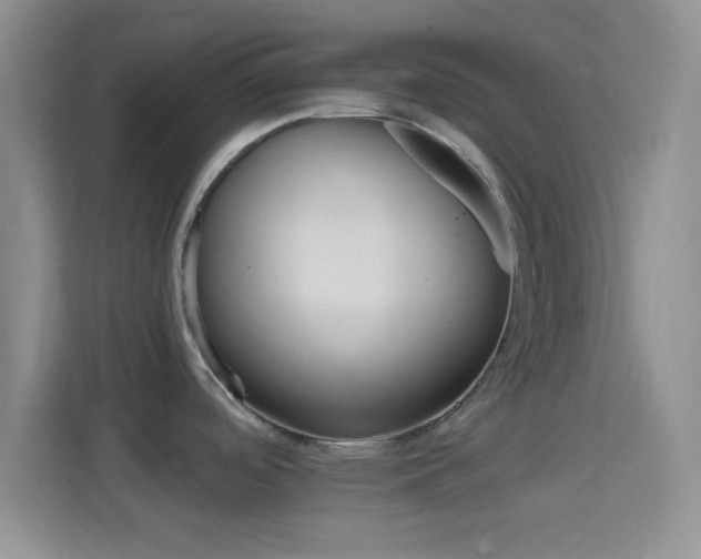 X0000114401488200910231059