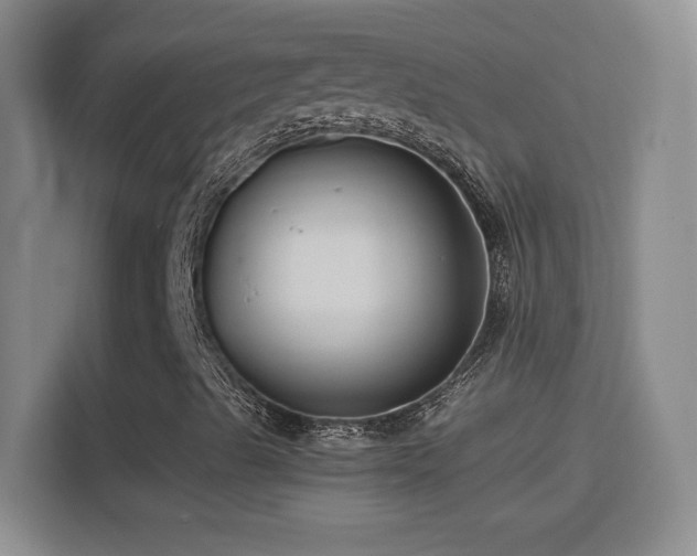 X0000114401489200910231059