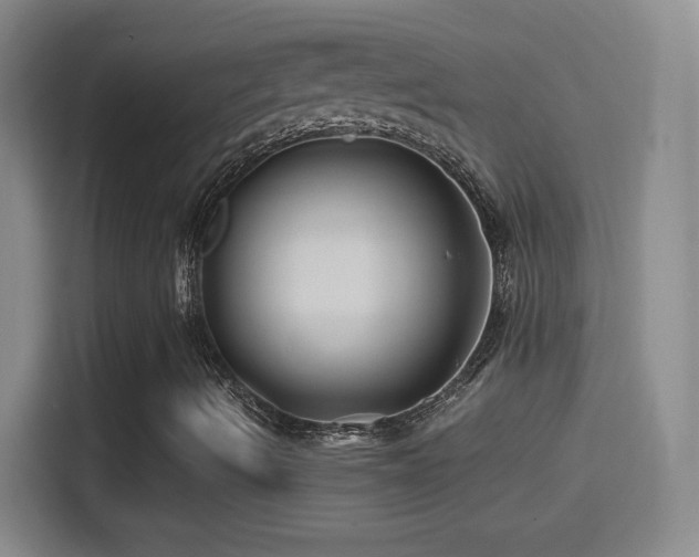 X0000114401490200910231059