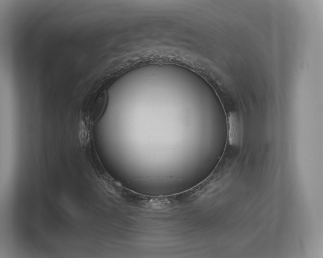 X0000114401491200910231059