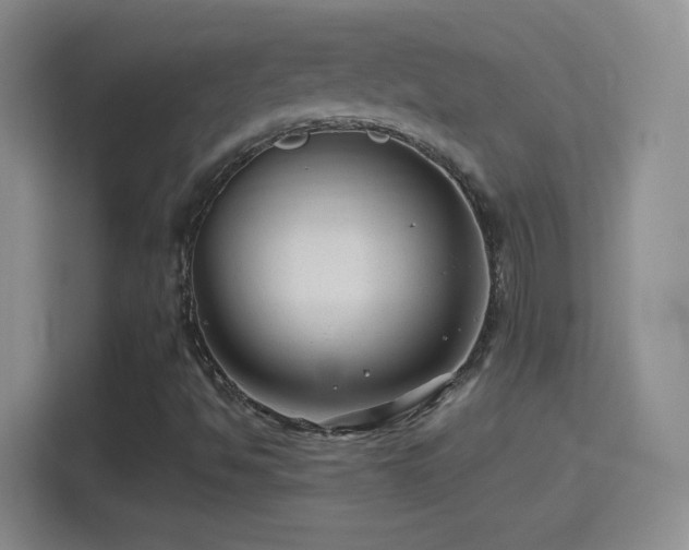 X0000114401494200910231059