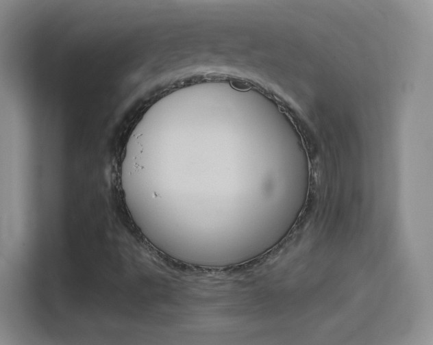 X0000114401495200910231059