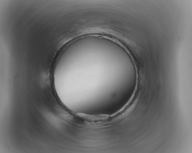 X0000114401497200910231059