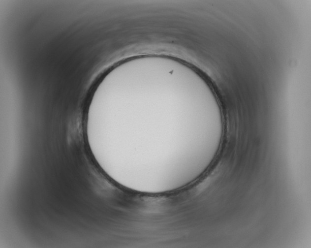 X0000114401498200910231059