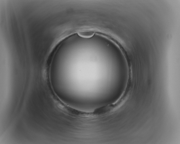 X0000114401501200910231059