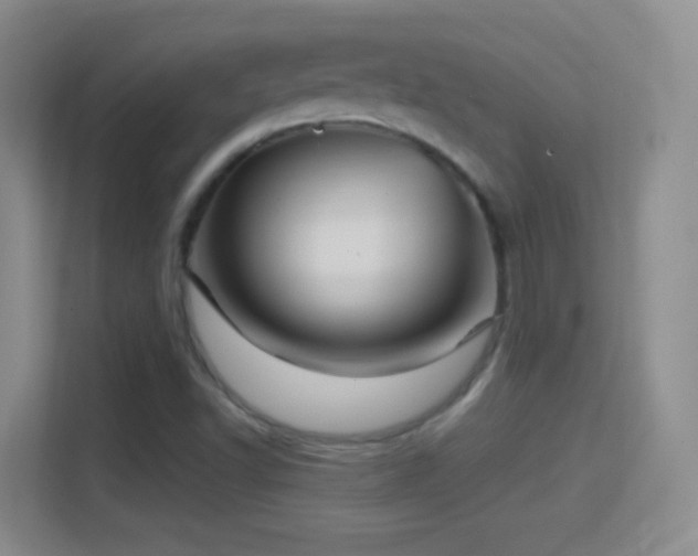 X0000114401502200910231059