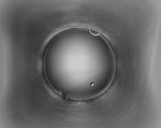 X0000114401503200910231059