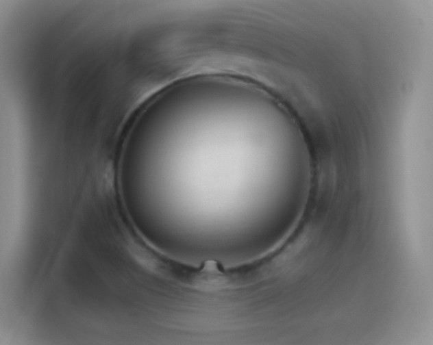 X0000114401505200910231059