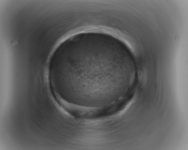 X0000114401506200910231059