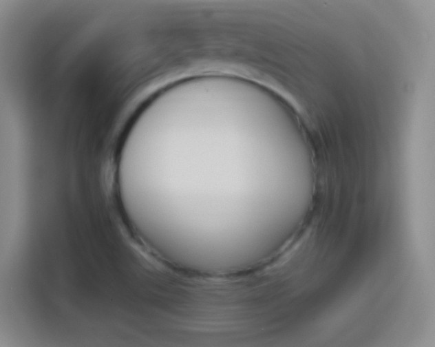 X0000114401507200910231059