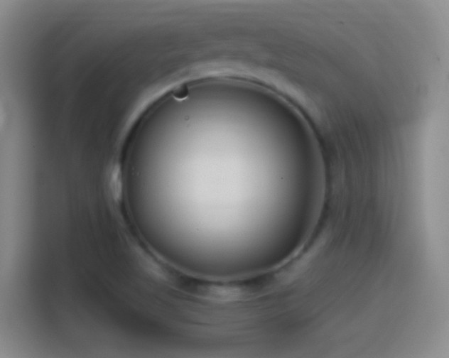 X0000114401509200910231059