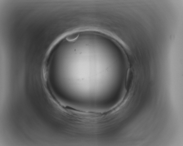 X0000114401510200910231059