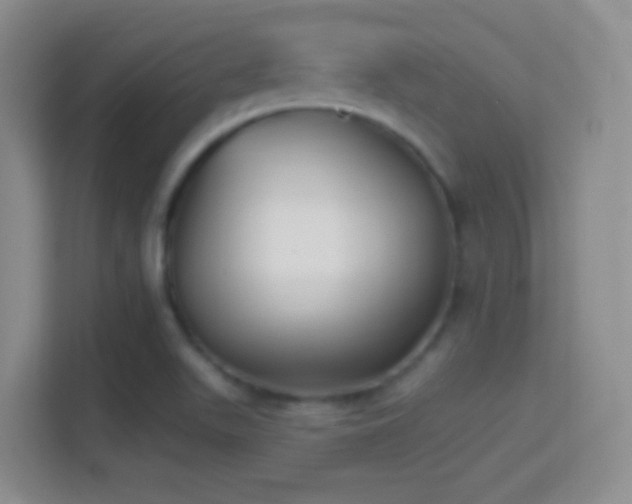 X0000114401511200910231059