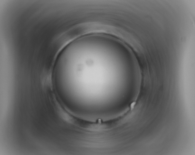 X0000114401513200910231059