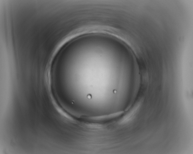 X0000114401515200910231059