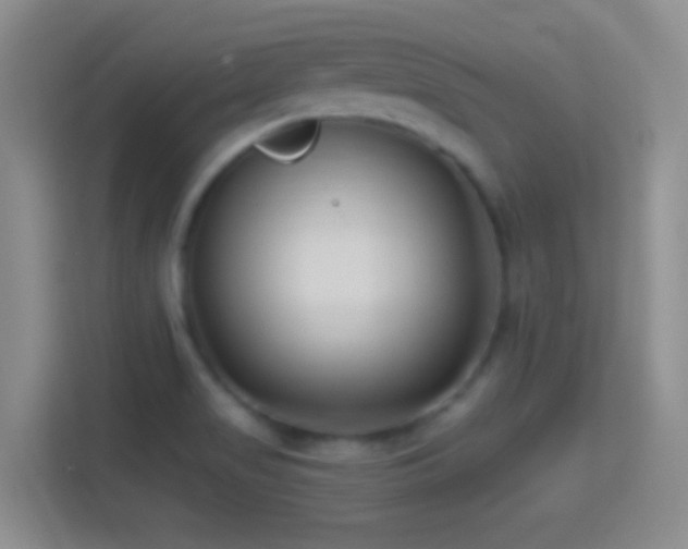 X0000114401517200910231059