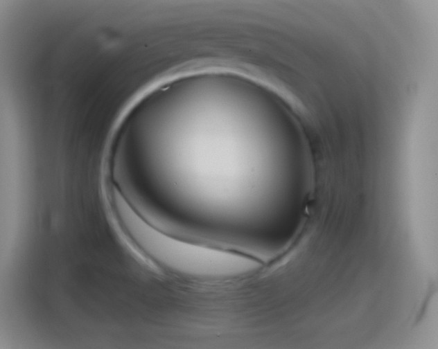 X0000114401518200910231059