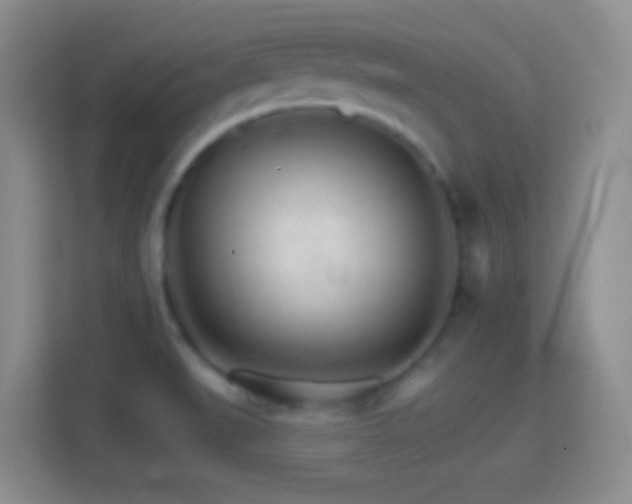 X0000114401519200910231059