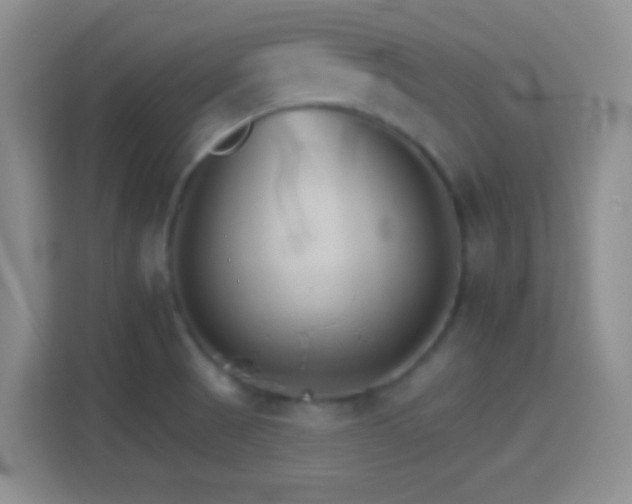 X0000114401521200910231059