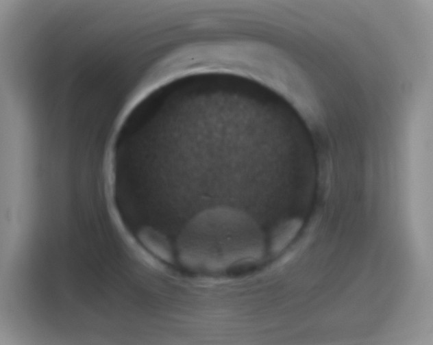 X0000114401522200910231059