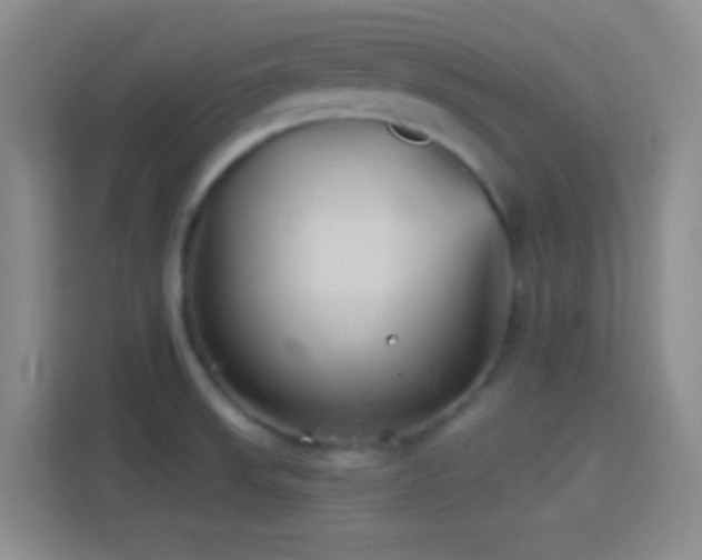 X0000114401523200910231059