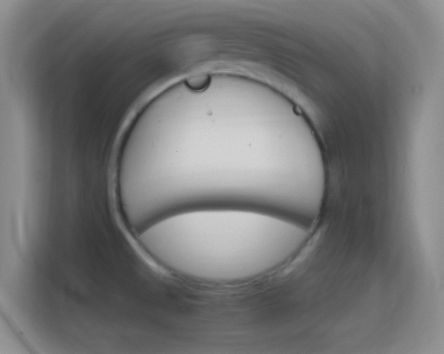 X0000114401525200910231059