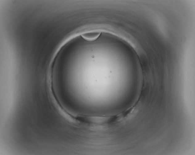 X0000114401526200910231059