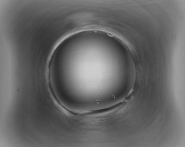 X0000114401527200910231059