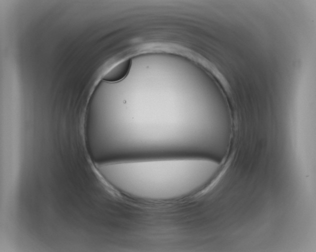 X0000114401529200910231059