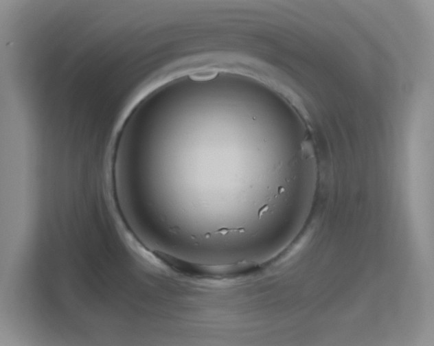 X0000114401530200910231059