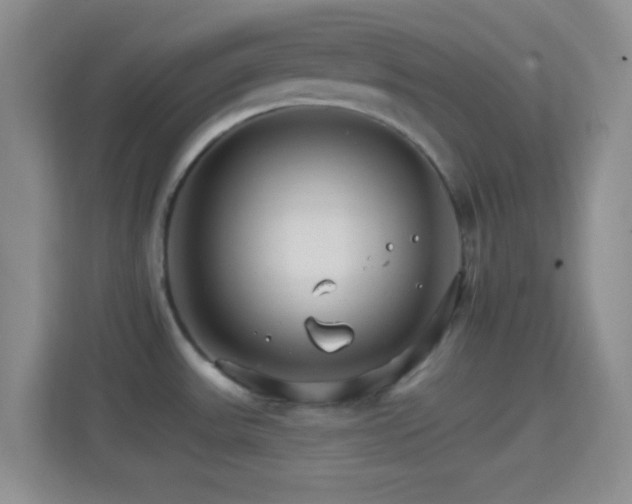 X0000114401531200910231059