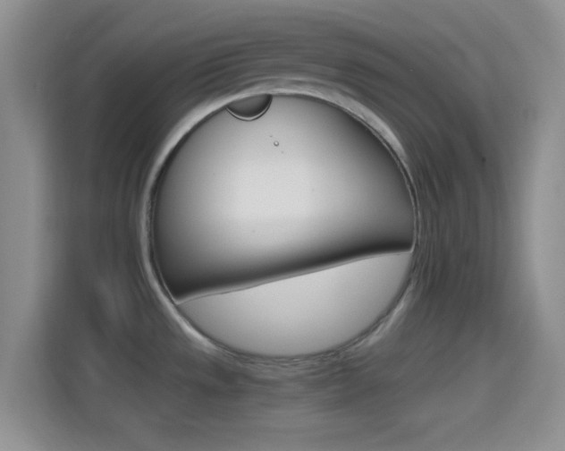 X0000114401533200910231059