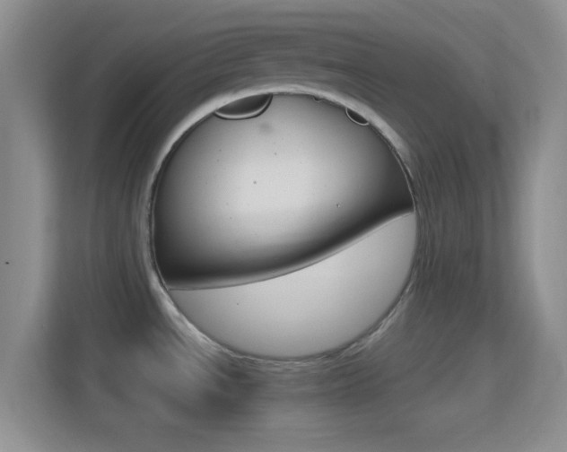 X0000114401534200910231059