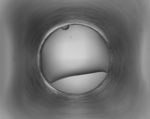 X0000114401535200910231059