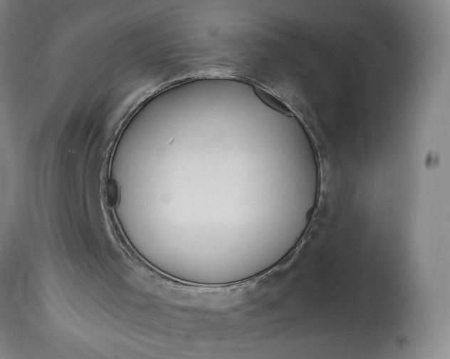 X0000114400001200911061548