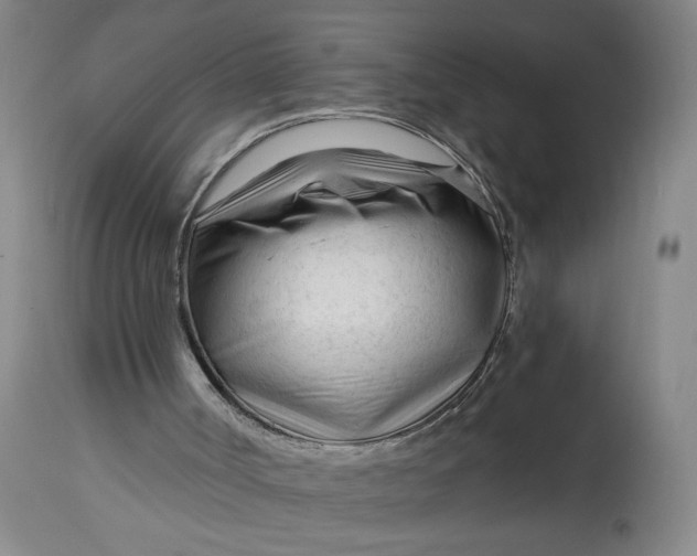 X0000114400002200911061548