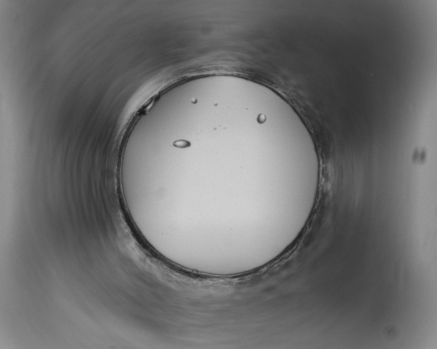 X0000114400004200911061548